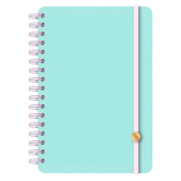 AGENDA 2027 15X21 DIARIA PU 3011 REY02