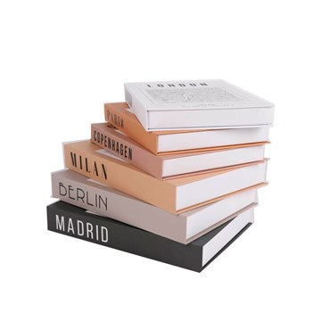 CAJAS X 2 FALSO LIBRO CC201 CC205 VGO01