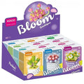 MINI BLOQUES KOCO SUCULENTAS KC1001-12 PUB02
