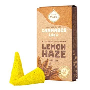 CONO GRANDE X6 CANNABIS 8 VARIEDADES 12709 FRA01