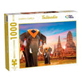 PUZZLE 1000PZAS DISEÑOS VARIOS 792995/792994/792996/791825/792458 FEMA02