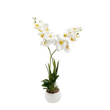 PLANTA 46CM ORQUIDEA C/MACETA 304714 PCU01