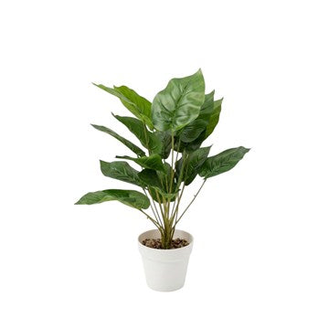 PLANTA 50CM C/MACETA BLANCO 304763 PCU01