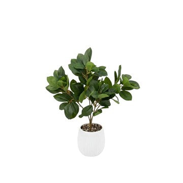 PLANTA 48CM C/MACETA BLANCO 304800 PCU01