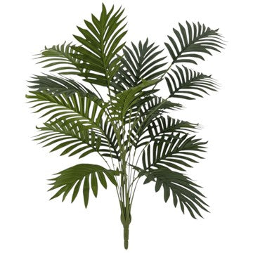 PLANTA X18 ARECA 80CM TF-48141 GFR03