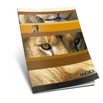 CUADERNO  24HJ T/F RAY AMERICA 144-10 / 237611/1135110/237611 AE01 AUD02 (B180)