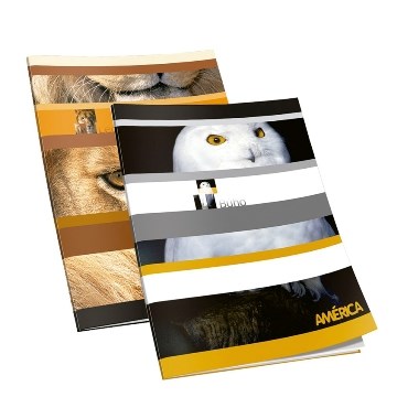 CUADERNO  48HJ T/F RAY AMERICA 1135109 / 238544 AE01 (B90)