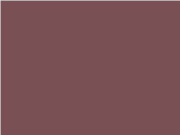PAPEL AFICHE MARRON 9522.12MIL28 (B:48)