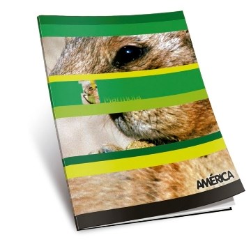 CUADERNO  24HJ T/F LISO AMERICA 144-12 / 1135112/237511/237637  AE01 (B180)