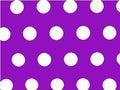 PAPEL FORRAR LUNARES LILA MURESCO/LUMA (100/10)
