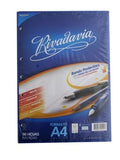 REPUESTO A4 96HJ RAYA RIVADAVIA 299-04 493131(B20) AE01