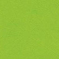 PAPEL FORRAR ARAÑA VERDE CLARO 25-13 204572 MURESCO/LUMA (B20)
