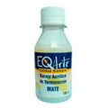 BARNIZ MATE X 100CC EQ ARTE 074193A (B30)