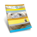 CUADERNO 48HJ T/F LISO AMERICA 238560 AE01 (B90)