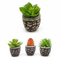 Mini maceta de piedra WISHFUL de 8 cm con suculenta artificial verde y naranja sobre fondo blanco